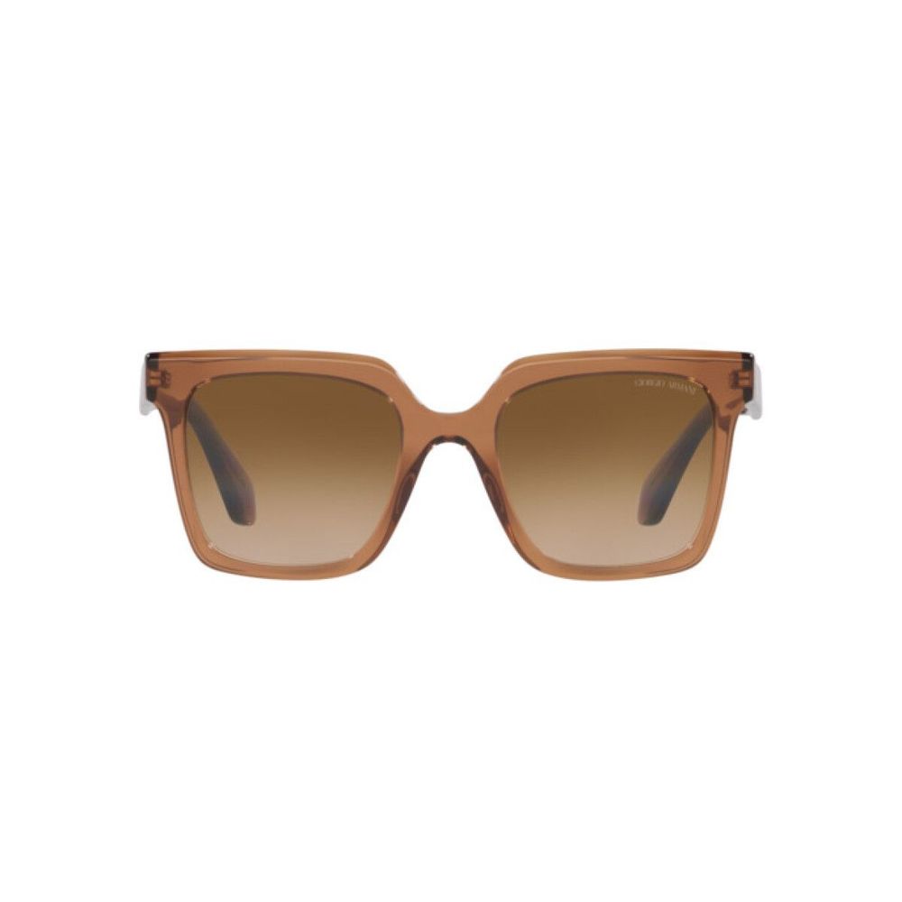Giorgio Armani Brown Acetate Sunglasses